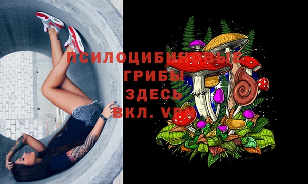 кокаин колумбия Алексин