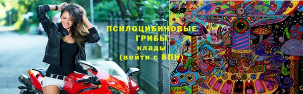 стафф Абинск