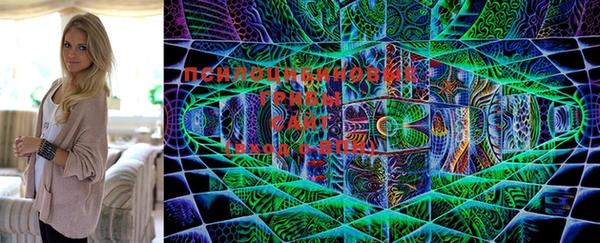 стафф Абинск
