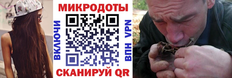 купить наркоту  Саянск  Псилоцибиновые грибы мицелий 